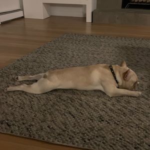 Meet your Posher, Shane